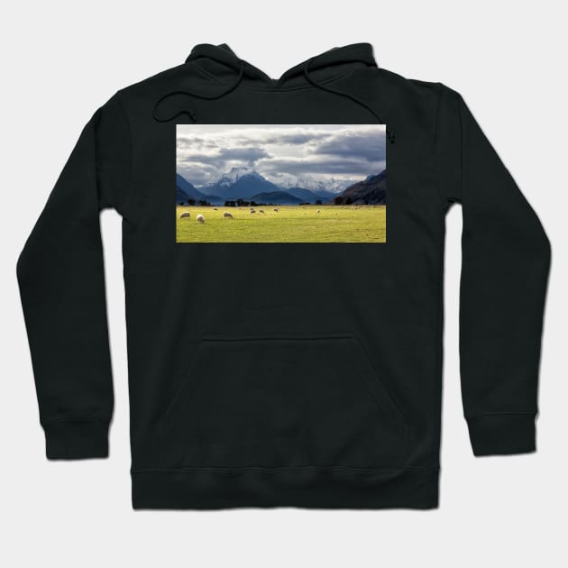 Beyond Glenorchy Hoodie by charlesk